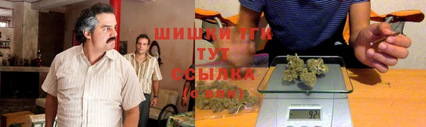 прущие грибы Туринск
